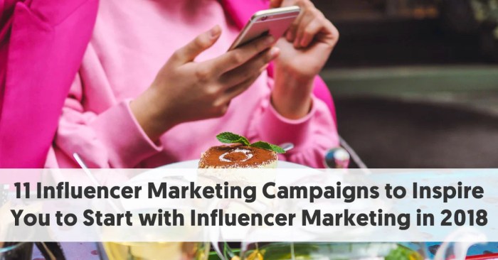 Influencer social marketing campaign steps successful effective program